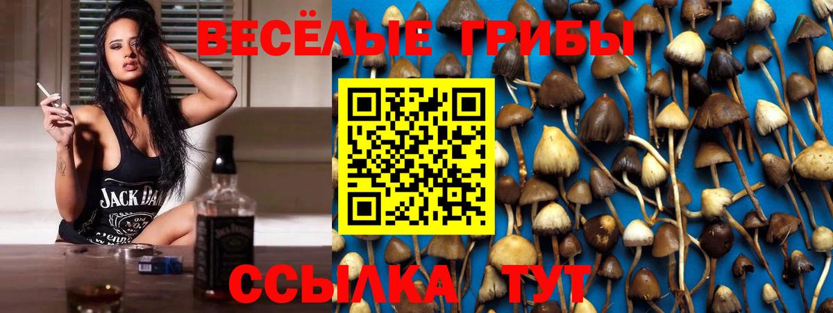 Галлюциногенные грибы мицелий Глазов