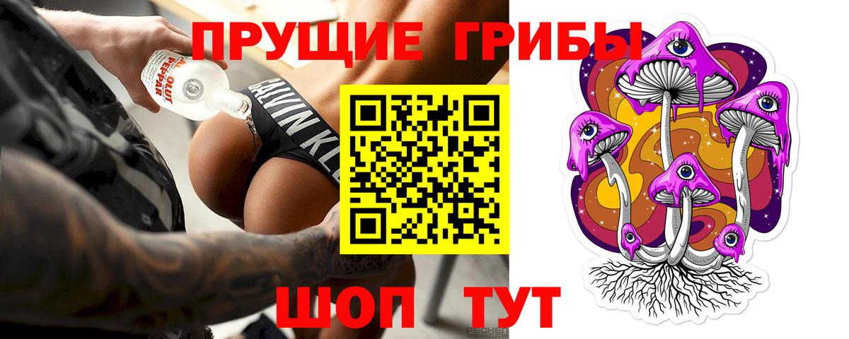 Глазов  Галлюциногенные грибы Psilocybe  Вход с VPN 